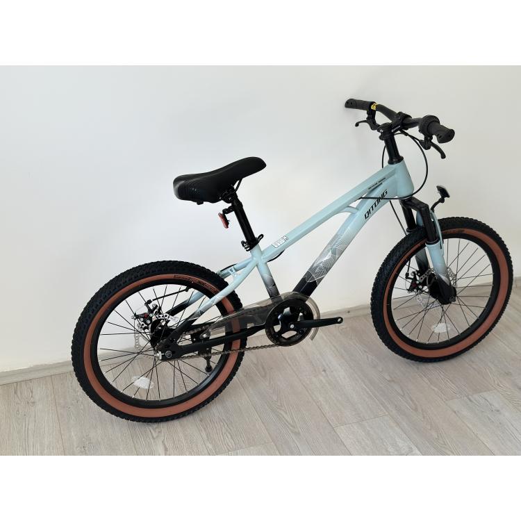 BIC.20"QL-BLUE  