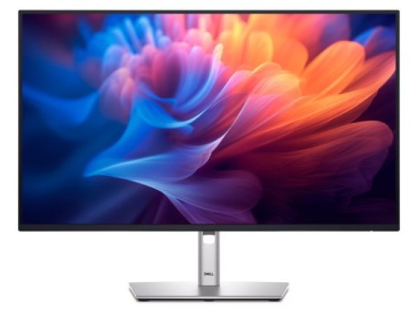 27 inch P2725H 100Hz Professional IPS monitor