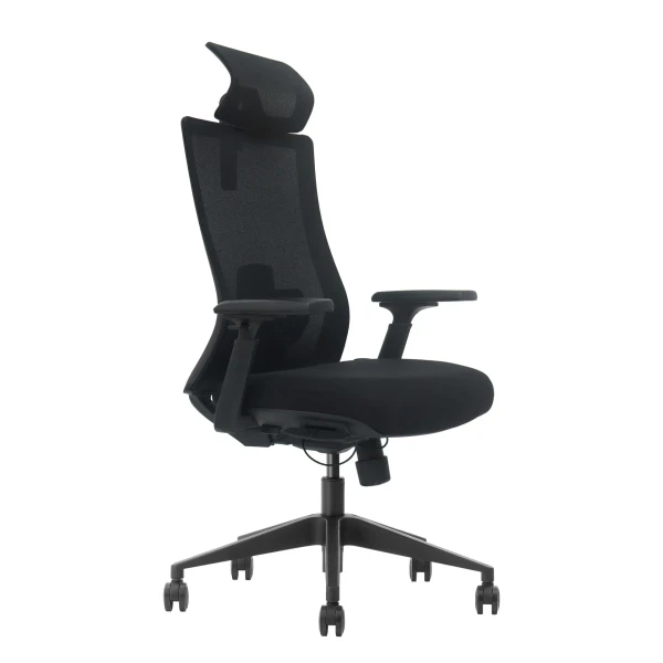 Ergonomska kancelarijska stolica UGD Work Pro