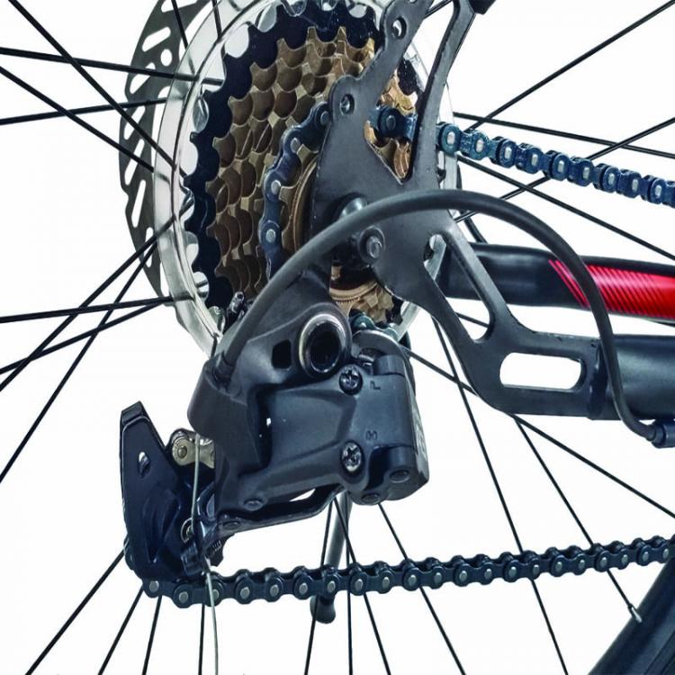 BIC.29"/24 MAXIMUS RED