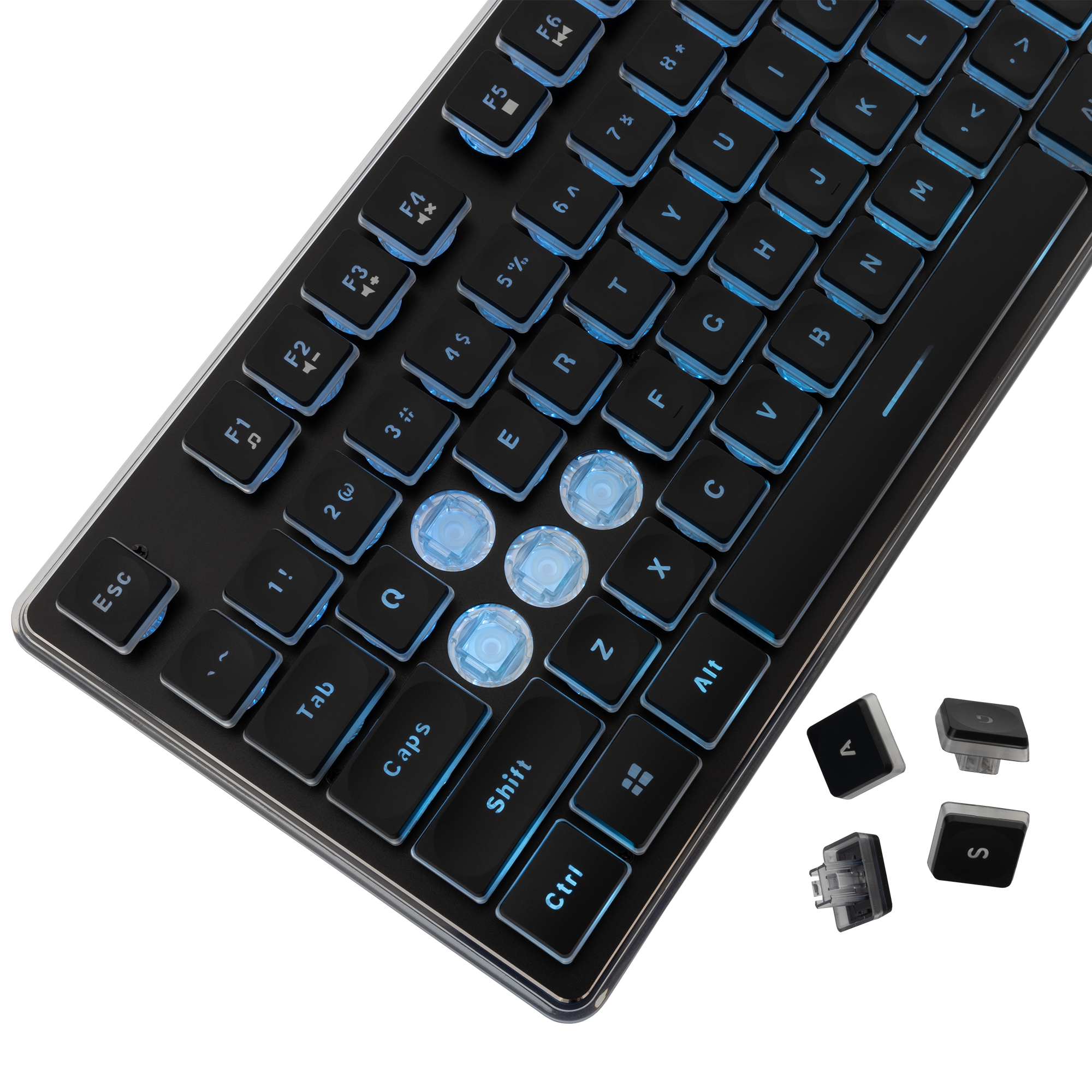 WS GK 003141 TACHI Black, Keyboard - US