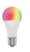 WOOX Zigbee Smart Bulb LED E27/26 10W R9077