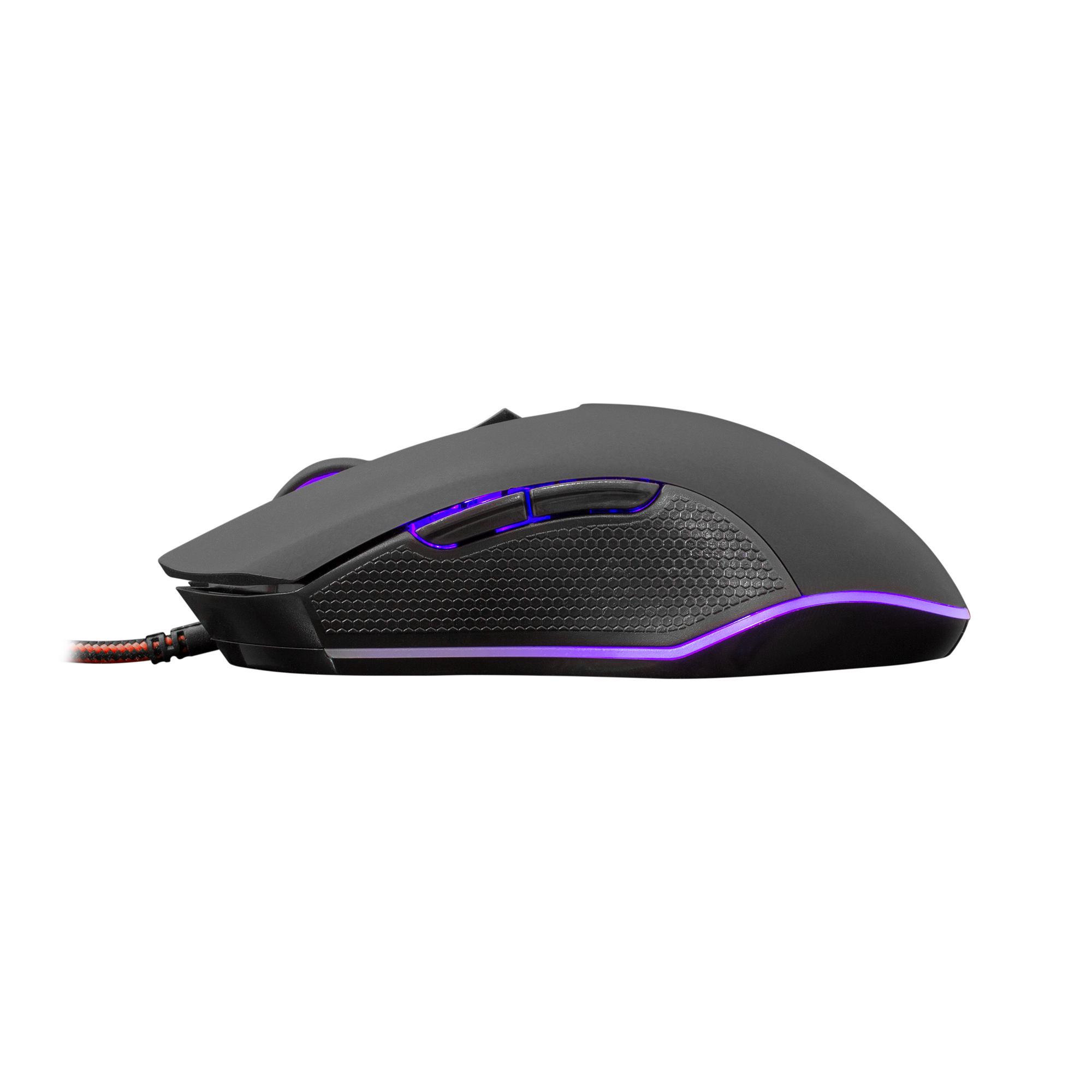 WS GM 3001 CYRUS, Mouse