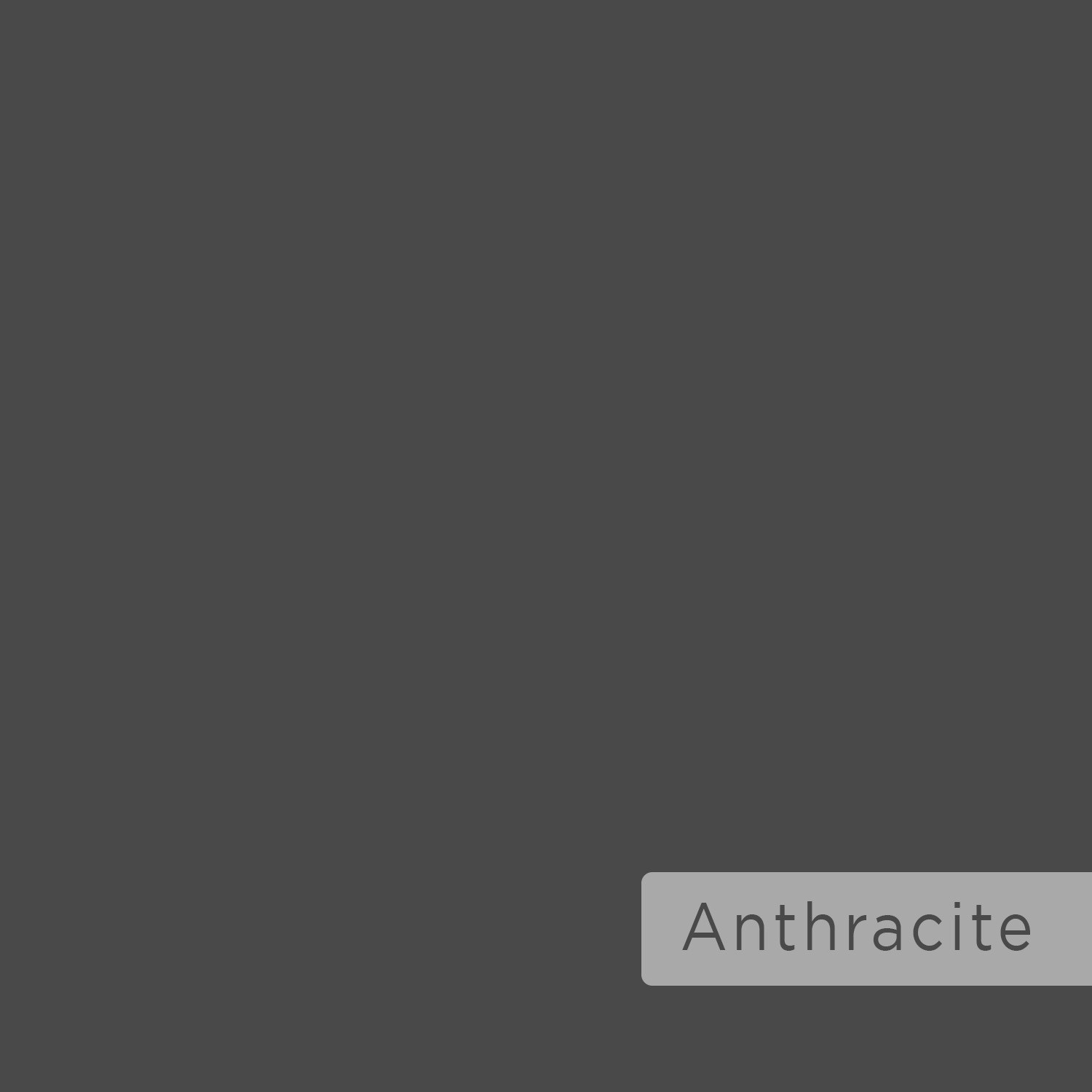 Leo - Anthracite