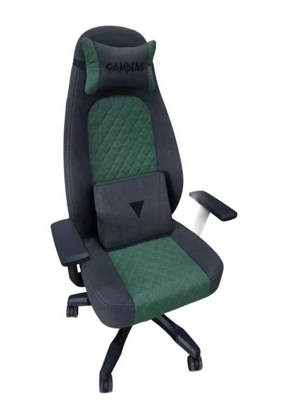 Gaming stolica Gamdias Zelus E4 Weave sivo/zelena