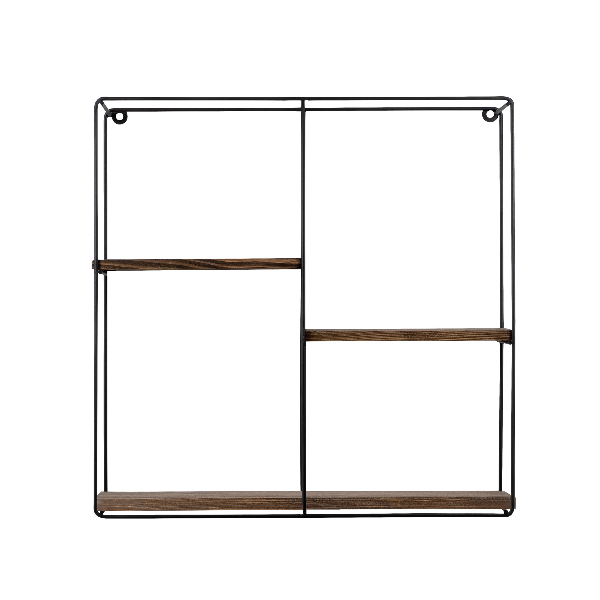Lilac Black Walnut