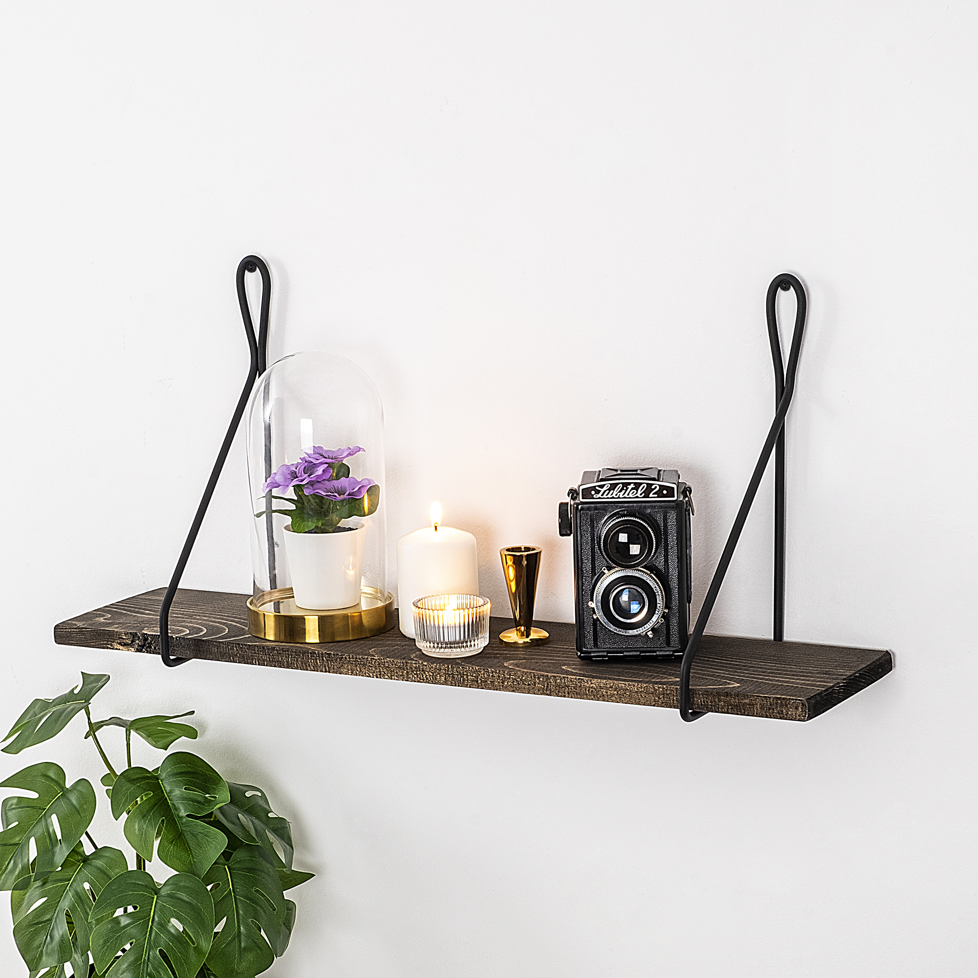 Amaryllis Black Dark Walnut