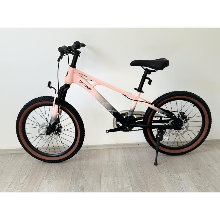 BIC.20" QL-PINK  