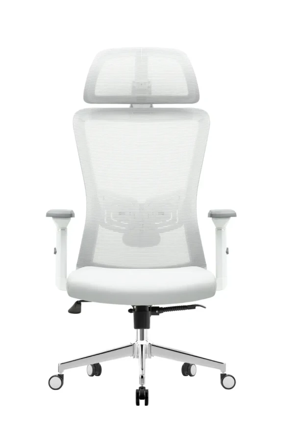 Ergonomska kancelarijska stolica UGD Silver Polare