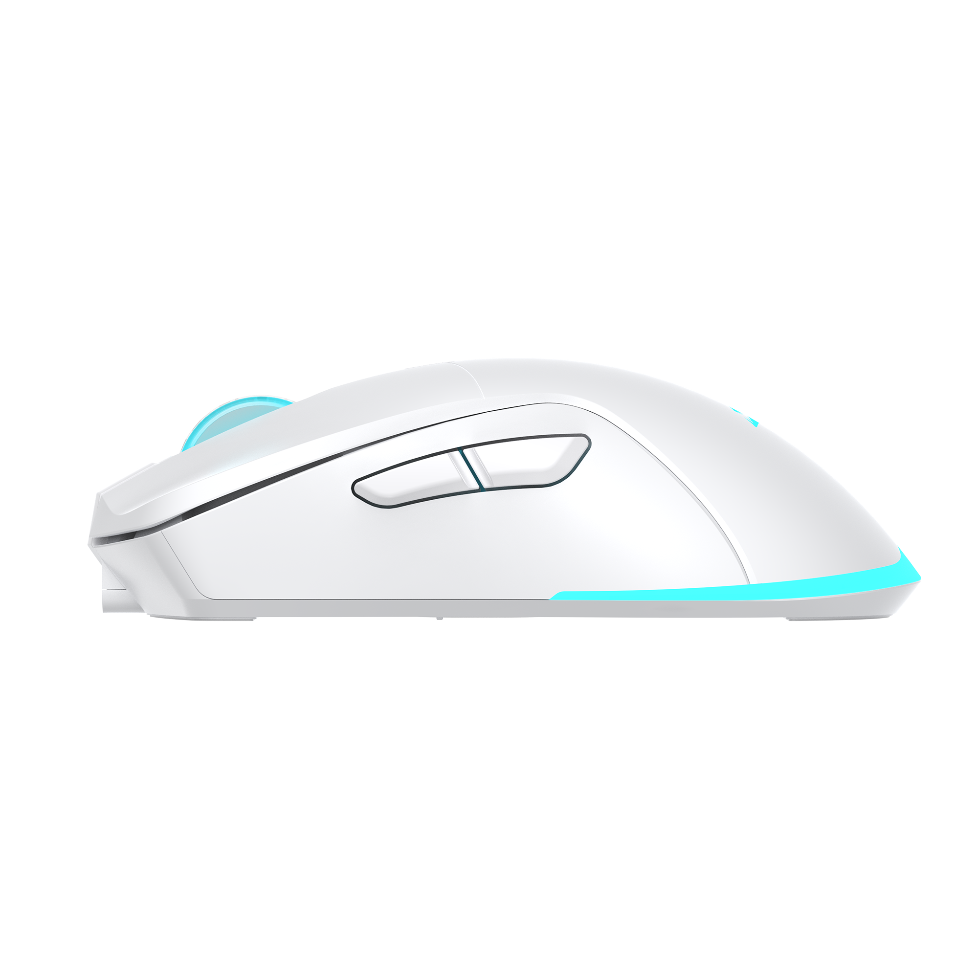 Baracuda BGM 122 TURTLE Wireless Mouse White