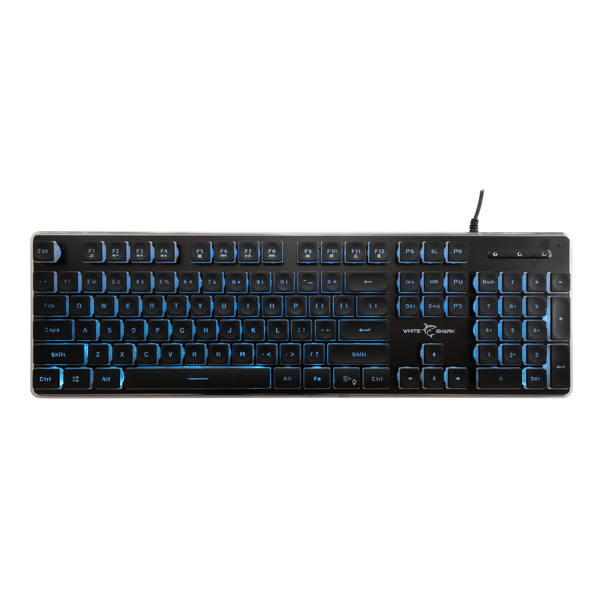 WS GK 003141 TACHI Black, Keyboard - US