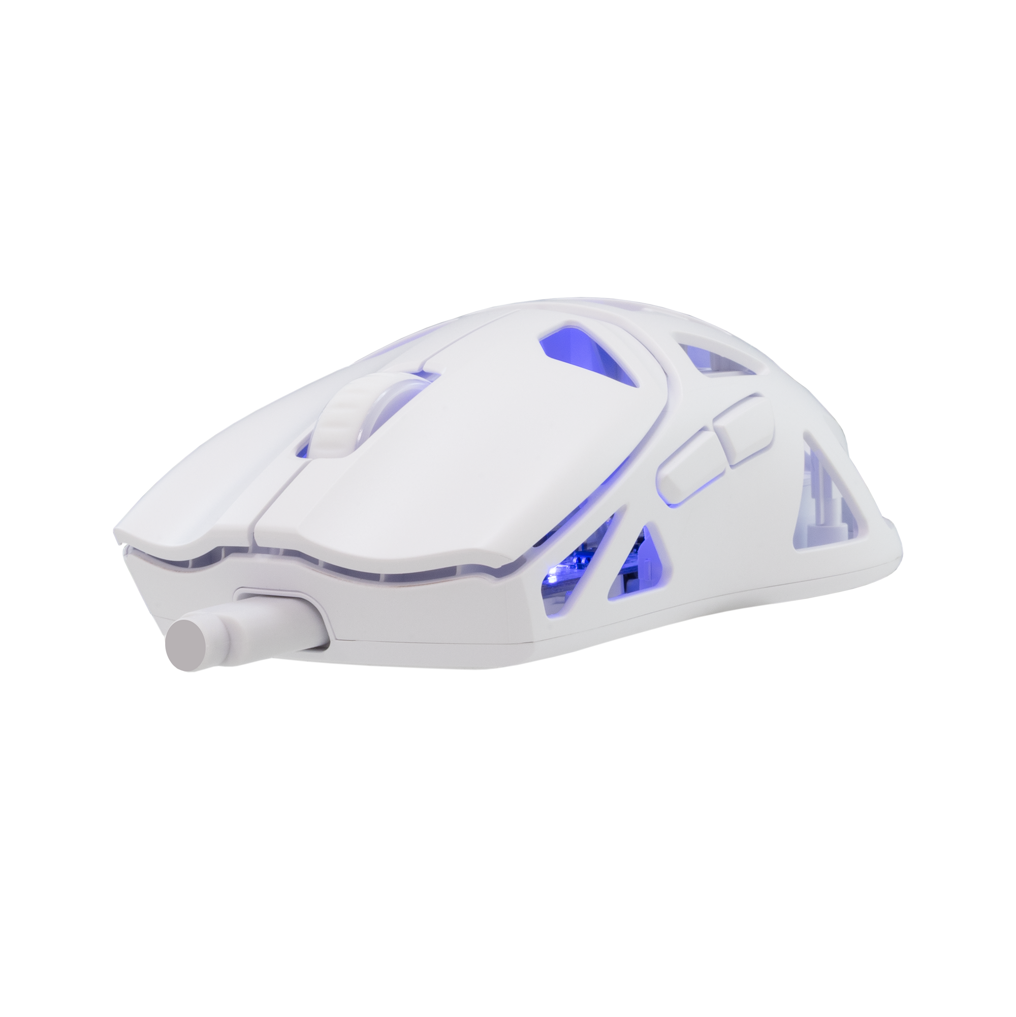 WS WGM 5019 DAGONET, BT/Wireless Mouse White