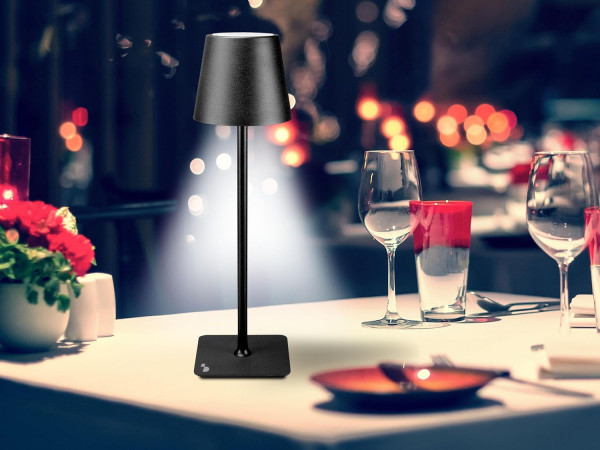 Punjiva stona lampa 2 u 1  P201UTP111