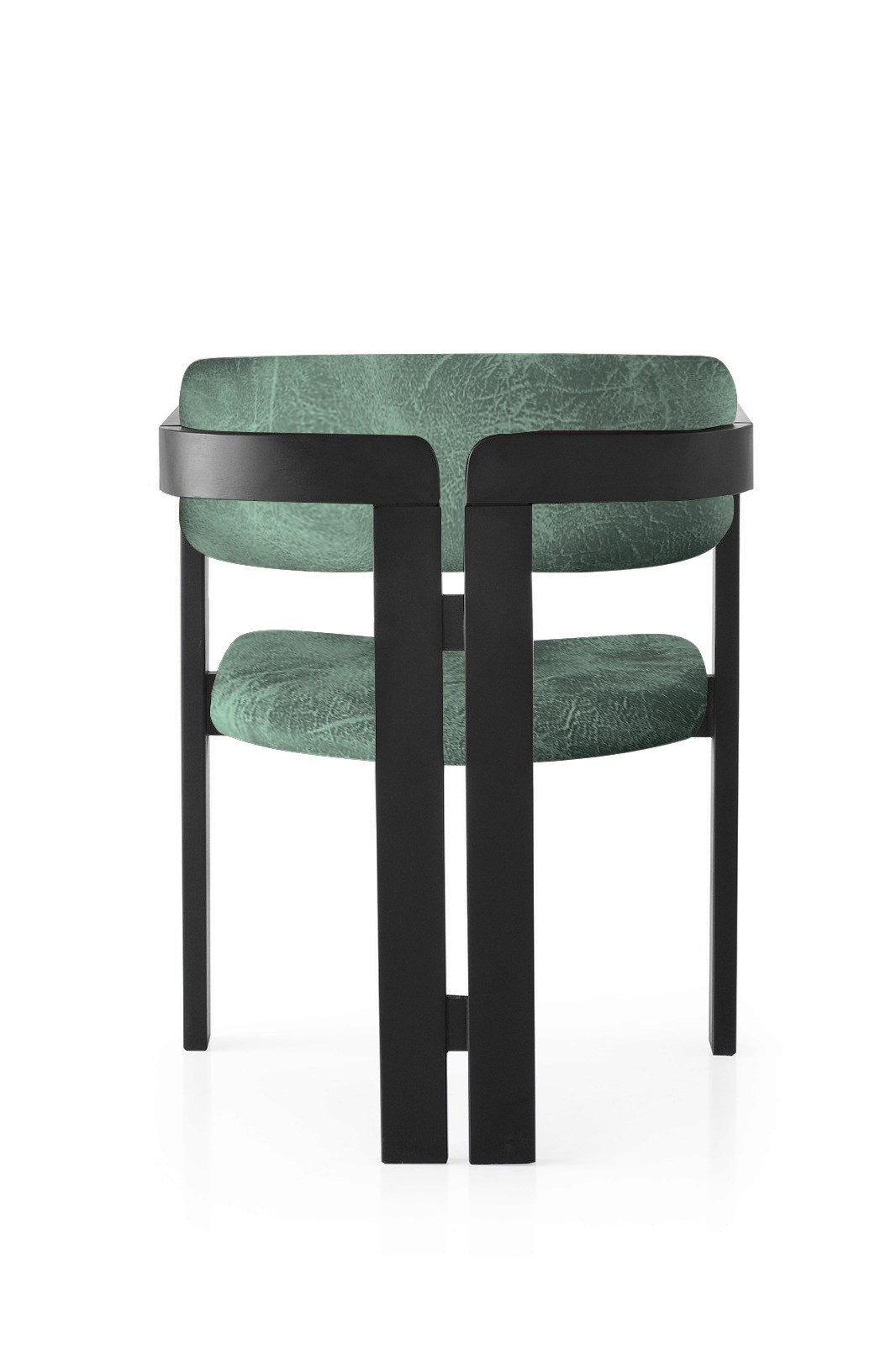 CO - 023 Black Green