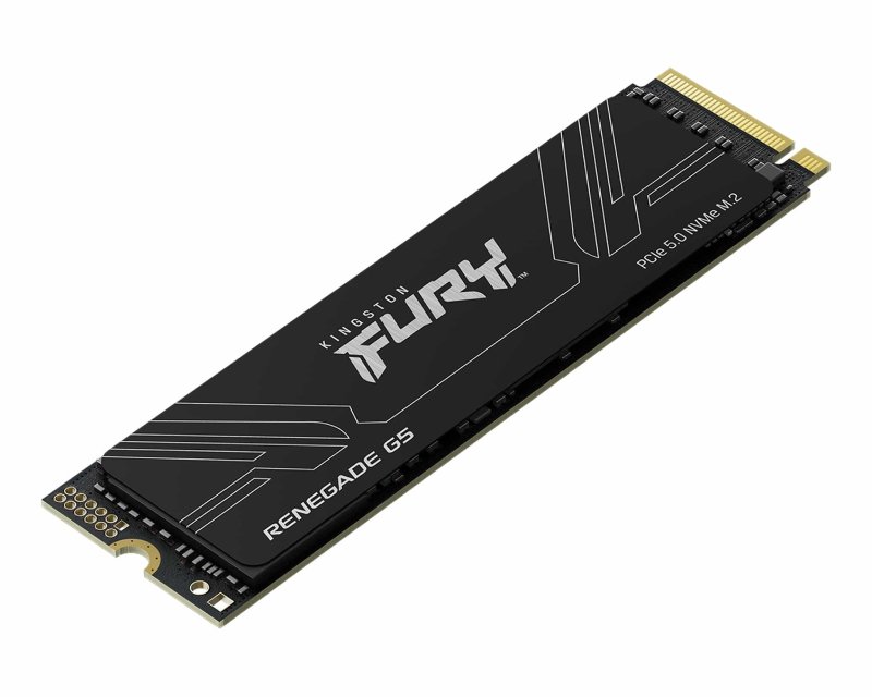 4TB M.2 NVMe SFYR2S/4T0 SSD FURY Renegade G5 SSD