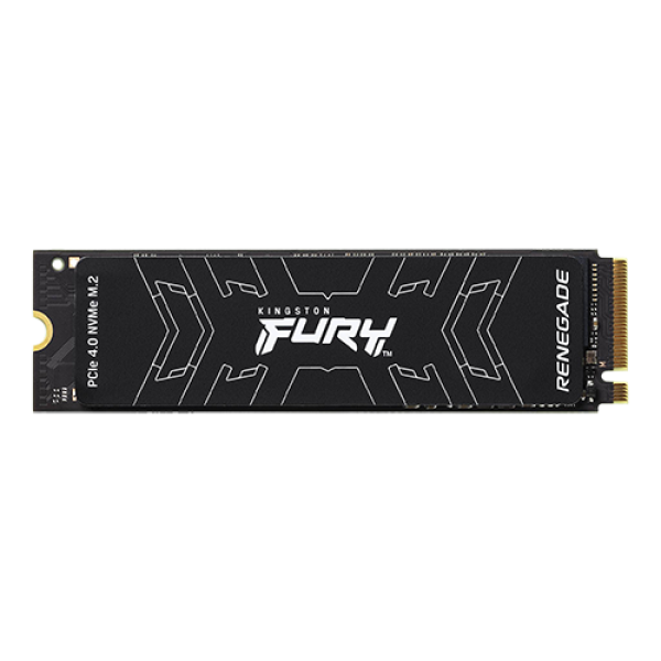 500GB M.2 NVMe SFYRS/500G FURY Renegade SSD