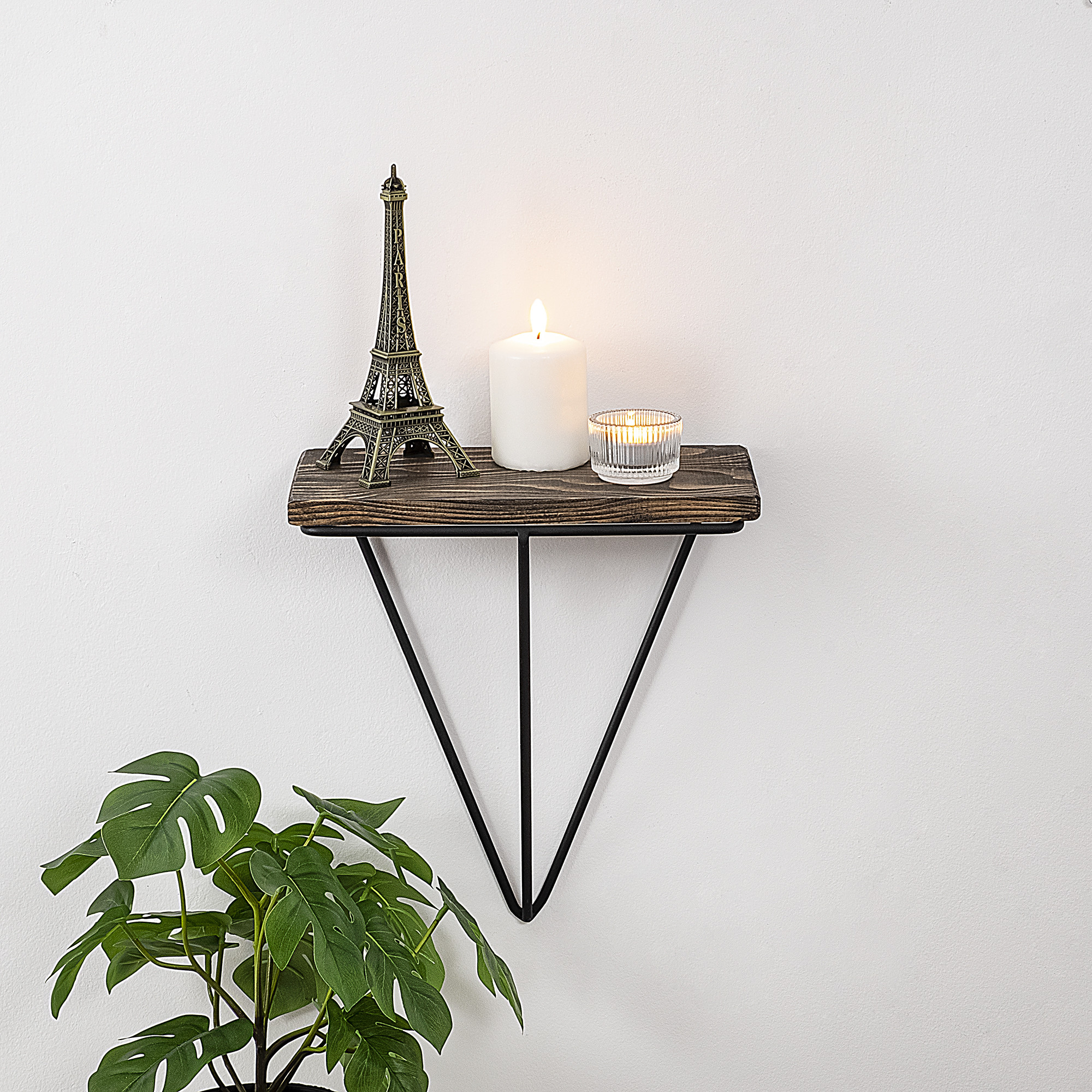 Phalaenopsis Black Dark Walnut