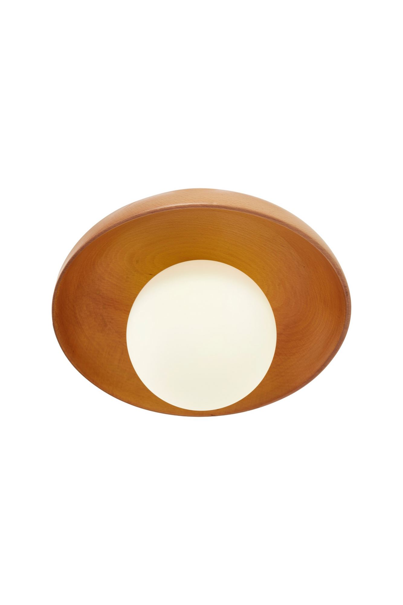 Hant-T - Oak Oak White