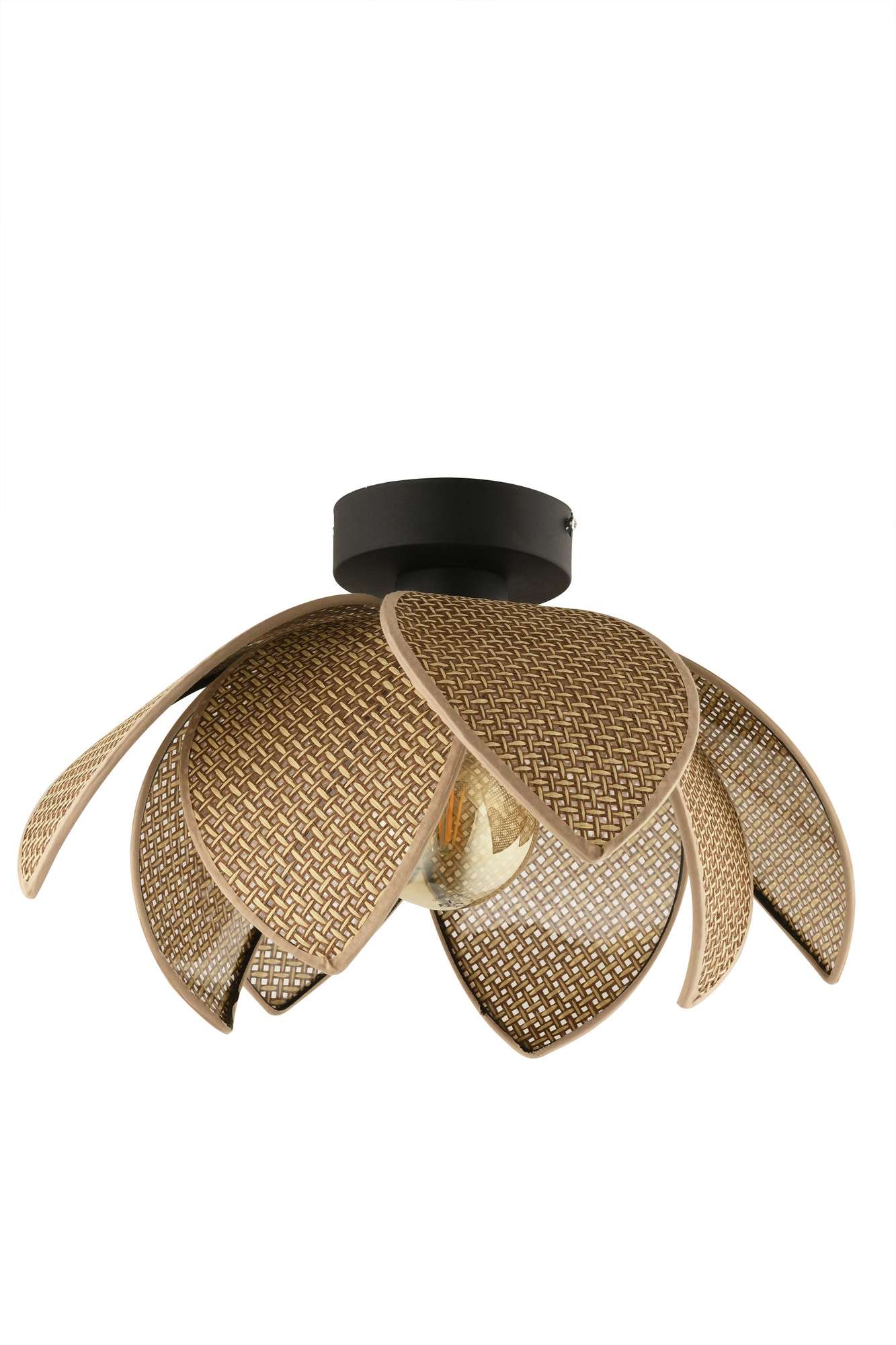 64888 Beige Black
