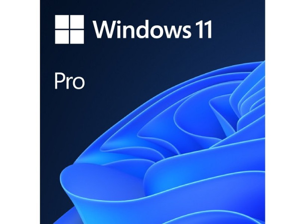 Windows 11 Pro Eng Intl OEM (FQC-10528)