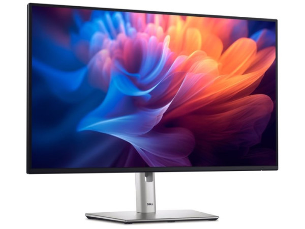 27 inch P2725H 100Hz Professional IPS monitor
