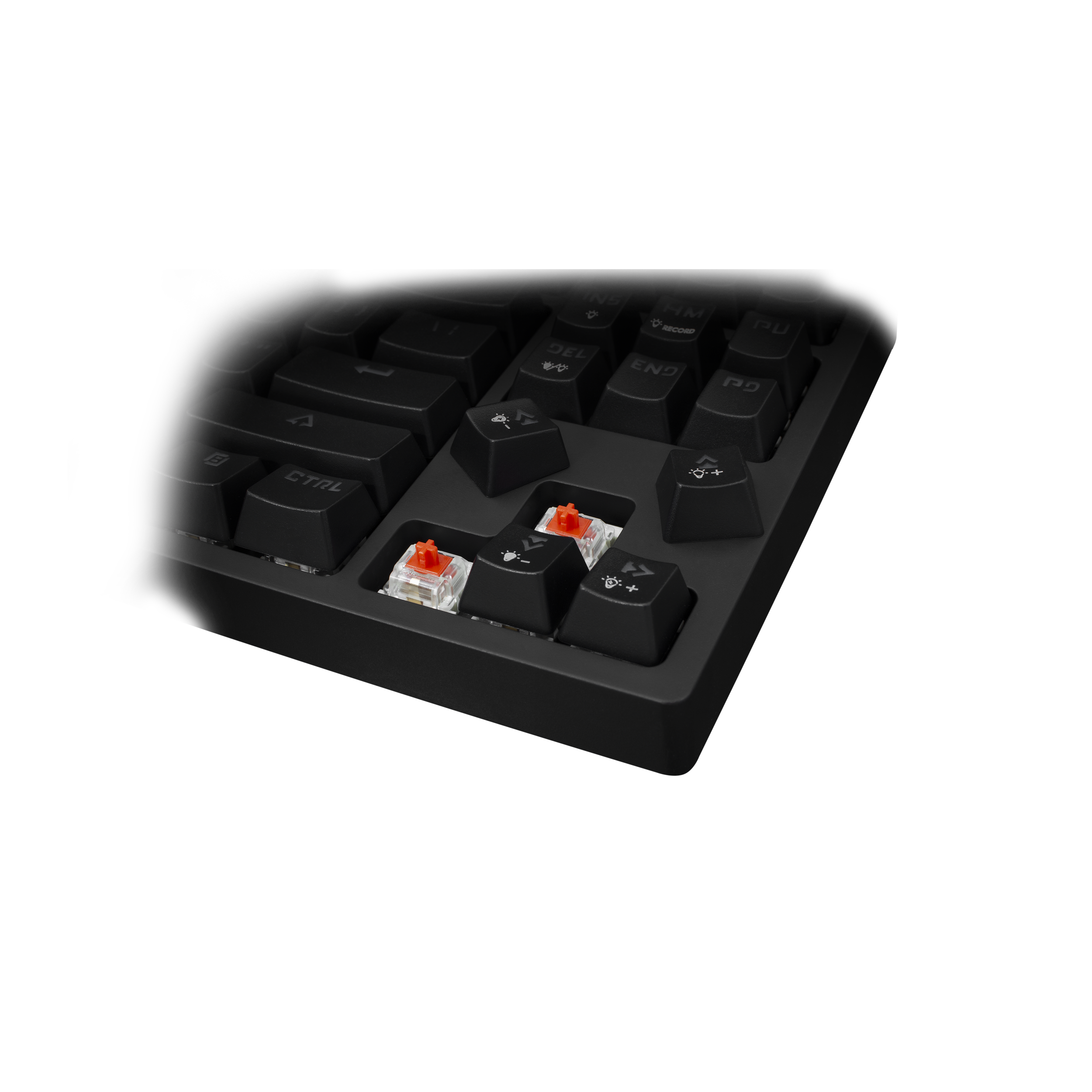 WS Premium ESL K1 KODACHI, Keyboard