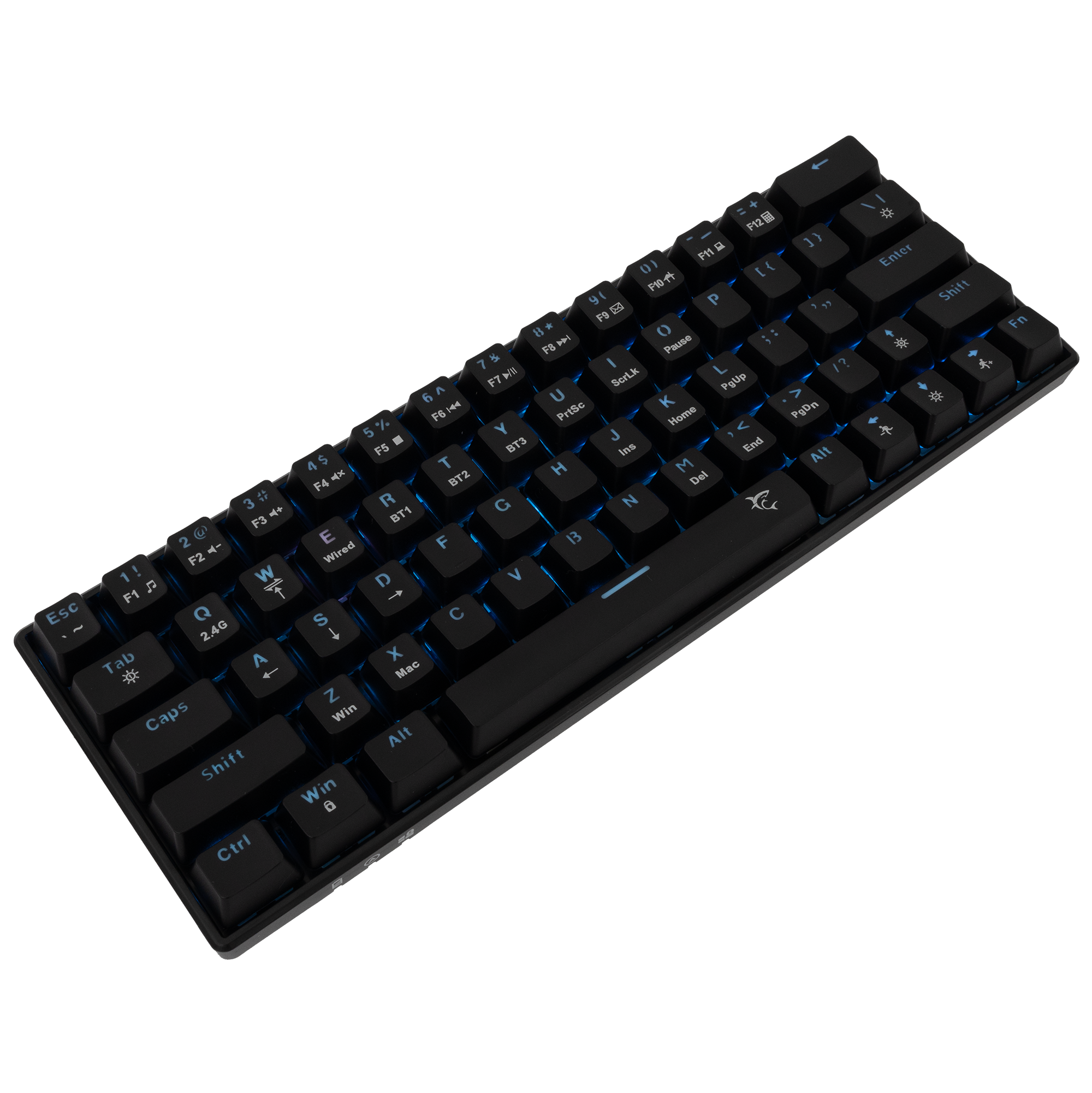 WS Premium GK 003111 KAIKEN US, Keyboard