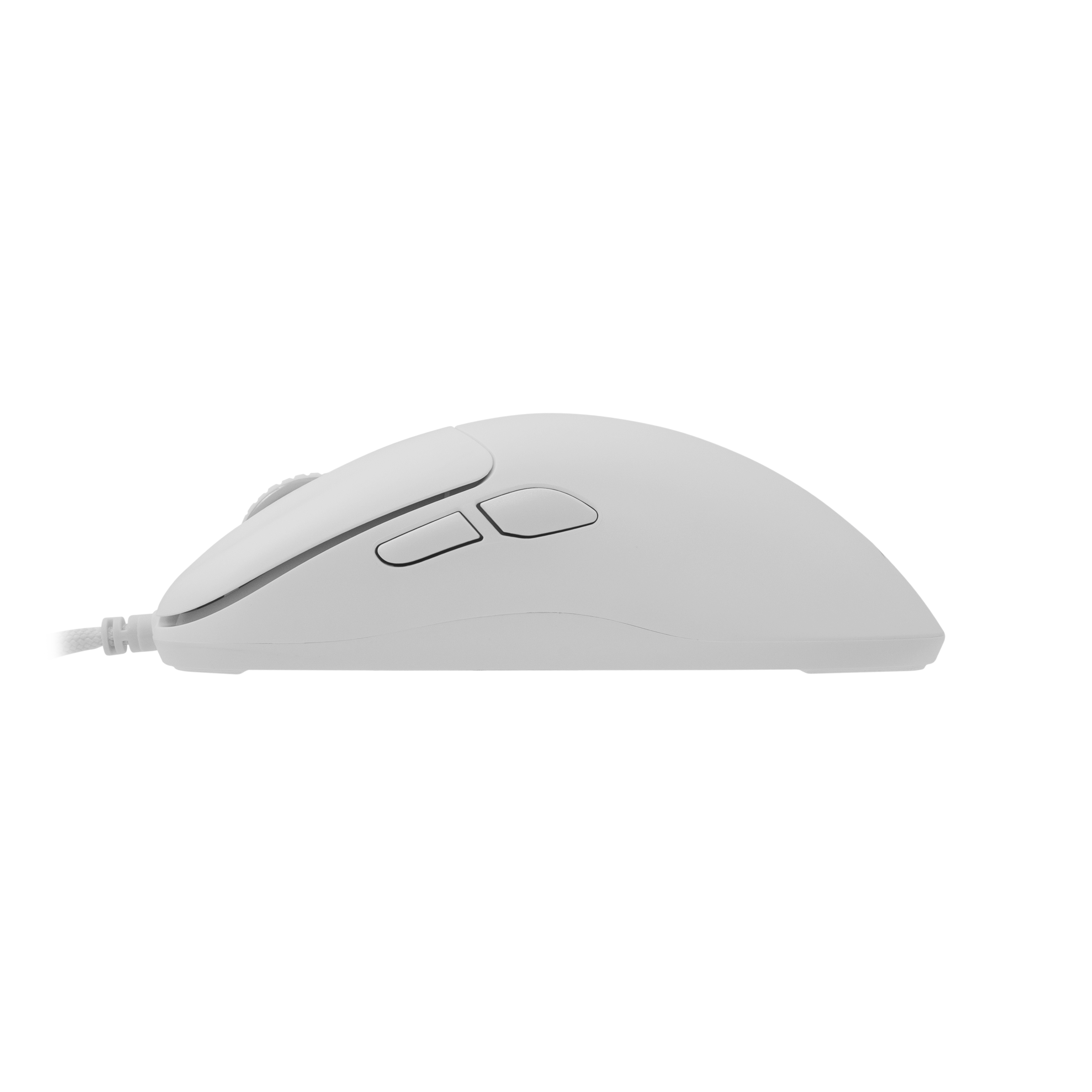 WS GM 5014 GRAPHENE, Mouse White