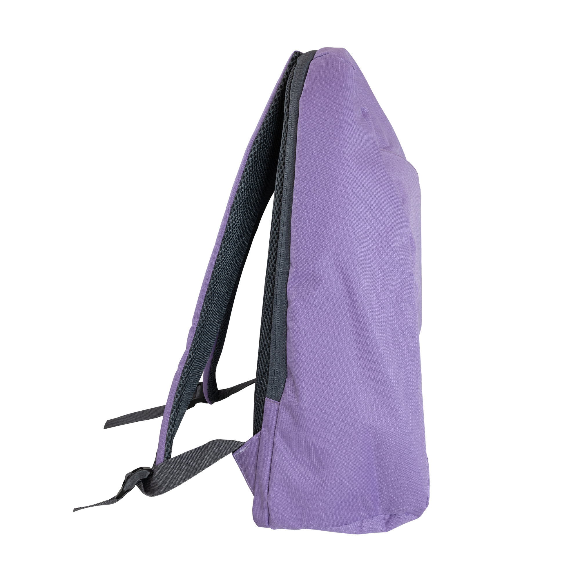 S BOX NSE 1206 U DUBAI, Ljubicasti Ranac 15,6''